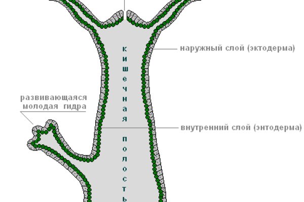 2krn cc официальный