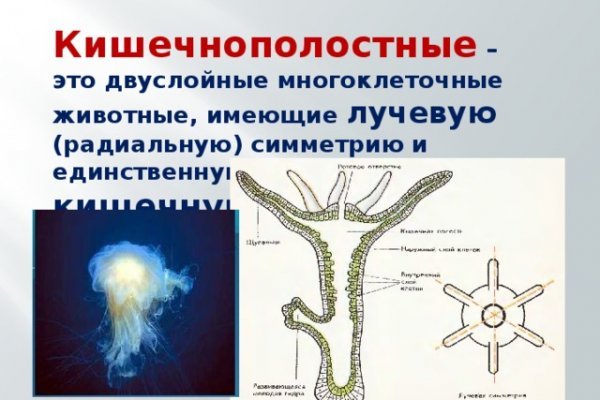 Ссылка на кракен официальный