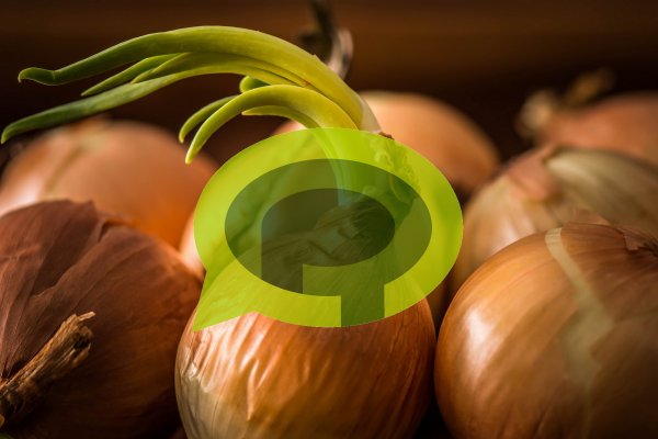 Kraken официальный сайт ссылка через tor